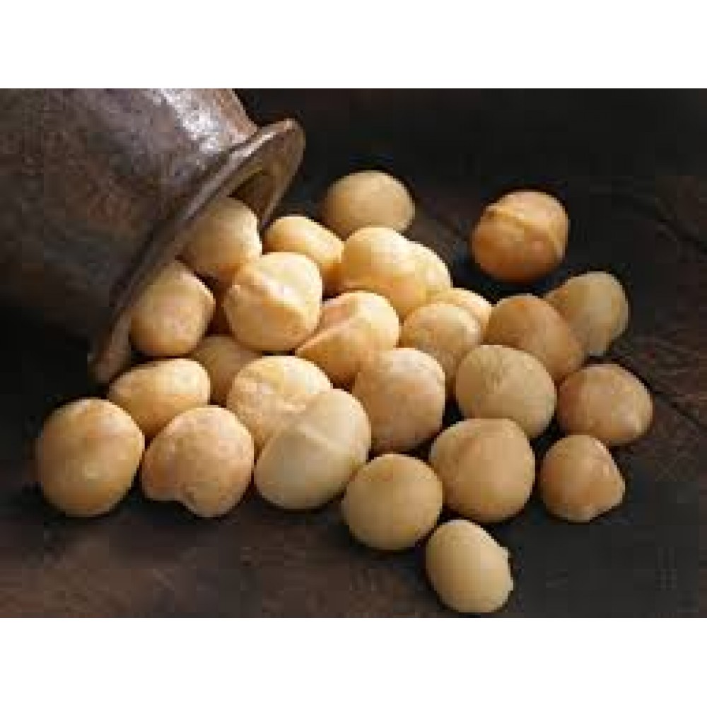  Macadamia (Natural) 500 gm